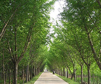 乐竞官网登录入口网页版