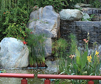 乐竞平台网页版登陆